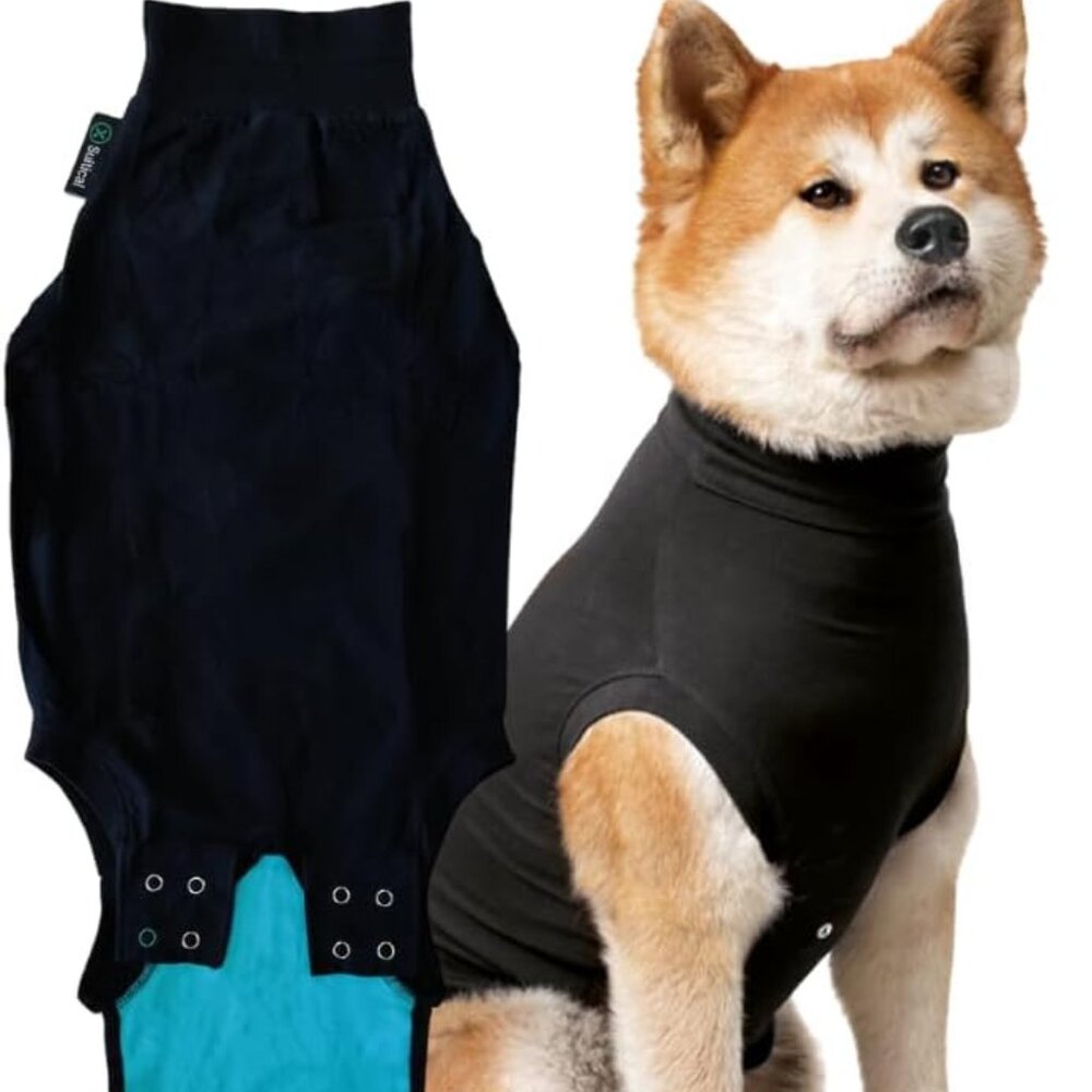 Dog Surgery Recovery Suit